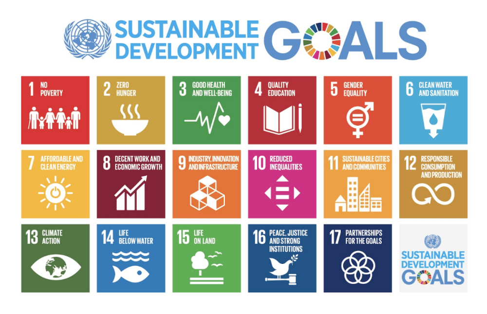 Icons for Sustainable Development Goals